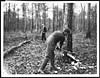 Thumbnail of file (484) D.669 - British Tommy felling a tree