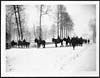 Thumbnail of file (511) D.737 - Transport horses going to water