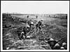 Thumbnail of file (59) D.1172 - Infantry getting out of their trenches as their wave moves forward