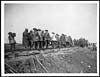 Thumbnail of file (592) D.980 - Laying a railroad over newly captured ground