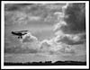 Thumbnail of file (58) L.555 - Homeward bound: a scout returning to her aerodrome