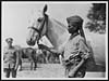 Thumbnail of file (49) L.675 - They take a great pride in the appearance of their horses, and this man is in charge of one of the best trimmed horses in the Camp