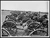 Thumbnail of file (21) L.700 - Draught horses, harness and limbered wagon