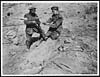 Thumbnail of file (50) X.25010 - Canadian signallers using a German rifle as a telephone pole, during World War I