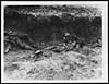 Thumbnail of file (25) X.32066 - Common scene in a German trench after our men had been over