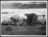 Thumbnail of file (117) X.33073 - Portioning out the bread at a road-side dump
