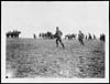 Thumbnail of file (64) X.34029 - Cavalry after an attack on the enemy