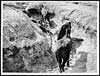 Thumbnail of file (145) X.34083 - Horses in an old Boche communication trench