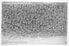 Thumbnail of file (49) 26i - No 1. Inscription on the Monument of an Ecclesiatic at Sadael Abbey in Cantyre, 17 Aug 1802