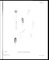 Thumbnail of file (120) Plate I - Puccinia collettiana