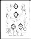 Thumbnail of file (8) Plate - Afzelia, Pahudia, Intsia, Sindora