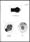 Thumbnail of file (466) Plate XXXIII
