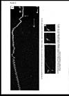 Thumbnail of file (86) Plate X