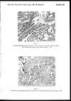 Thumbnail of file (67) Plate XVI