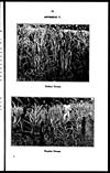 Thumbnail of file (321) Page 73