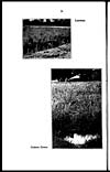 Thumbnail of file (324) Page 76