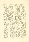 Thumbnail of file (106) Illustrated Plate