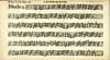 Thumbnail of file (174) Page 77 verso