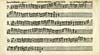 Thumbnail of file (270) Page 19 verso