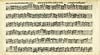 Thumbnail of file (280) Page 24 verso - Concerto