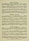 Thumbnail of file (19) Page 203 - Johnston's hornpipe