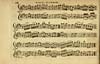 Thumbnail of file (174) Page 28 - Minuet by Urbani