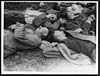 Thumbnail of file (222) C.1797 - Worn out German prisoners taken in the new push round Messines