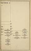 Thumbnail of file (13) Folded genealogical chart