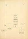 Thumbnail of file (77) Folded genealogical chart