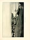 Thumbnail of file (75) Illustrated plate - View of Fortrose