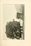 Thumbnail of file (235) Illustrated plate - Clump of trees and broken arch, Parbroath