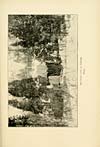 Thumbnail of file (415) Illustrated plate - Wolf's cave at Cragdon
