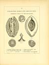 Thumbnail of file (573) Page 549 - Collected armorial seals and signatures