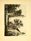 Thumbnail of file (47) Illustrated plate - Elphinstone Church and Tower, Dunmore