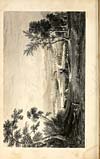 Thumbnail of file (526) Plate - City of Perth