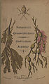 Thumbnail for '1872 - Feamaim Earraghaidhiell = Argyllshire seaweed'