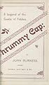 Thumbnail for 'Thrummy cap'