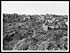 Thumbnail for 'D.3108 - General view of Bailleul'