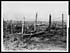 Thumbnail for 'D.3134 - General view of Queant where the Hindenburg and Wotan lines join'