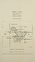 Thumbnail for 'Map - Parish of Dalziel and Hamilton Ph. (detached)'