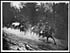 Thumbnail for 'D.2805 - R.H.A. going through the river at a gallop'