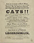 Thumbnail for 'Just arrived for a short time, and exhibiting every lawful day, at The Saloon, no. 69, Princes Street, the greatest wonder in Scotland! The astonishing and sagacious Cats!! These wonderful animal have been performing in Regent Street, London, Brighton, Bath, Cheltenham, Manchester, Liverpool, Dublin, &c. &c. where they have been patronised by the nobility and gentry'