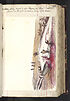 Thumbnail for 'Folio 126 recto'