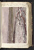 Thumbnail for 'Folio 130 recto'