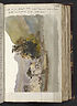Thumbnail for 'Folio 239 recto'