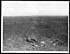 Thumbnail for 'O.939 - Battlefield after a Canadian charge'