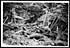 Thumbnail for 'D.1520 - Smashed up German trench on Messines Ridge with dead'