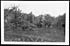 Thumbnail for 'D.1078 - Scene of desolation at Chaulnes'