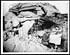 Thumbnail for 'D.2090 - Officer studying a map outside a German pill box destroyed by our artillery'