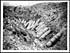 Thumbnail for 'D.641 - Big German ammunition left in a trench at St. Pierre Divion'